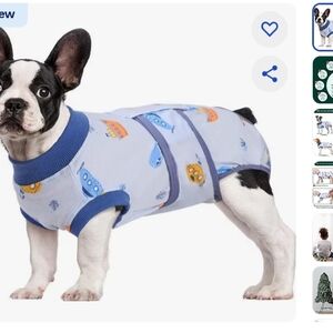 Dog Recovery Suit (Green)